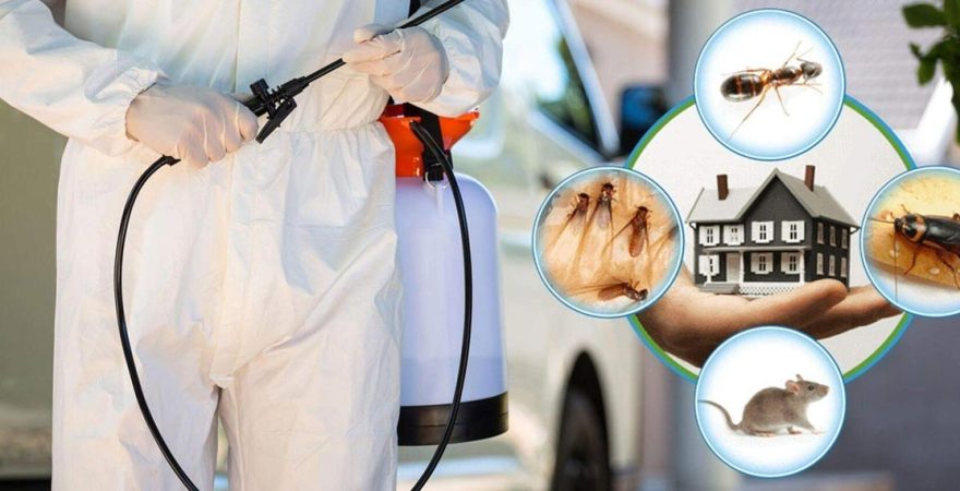 Biga Böcek İlaçlama