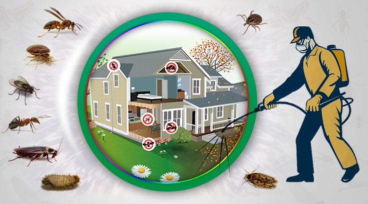 Biga Böcek İlaçlama