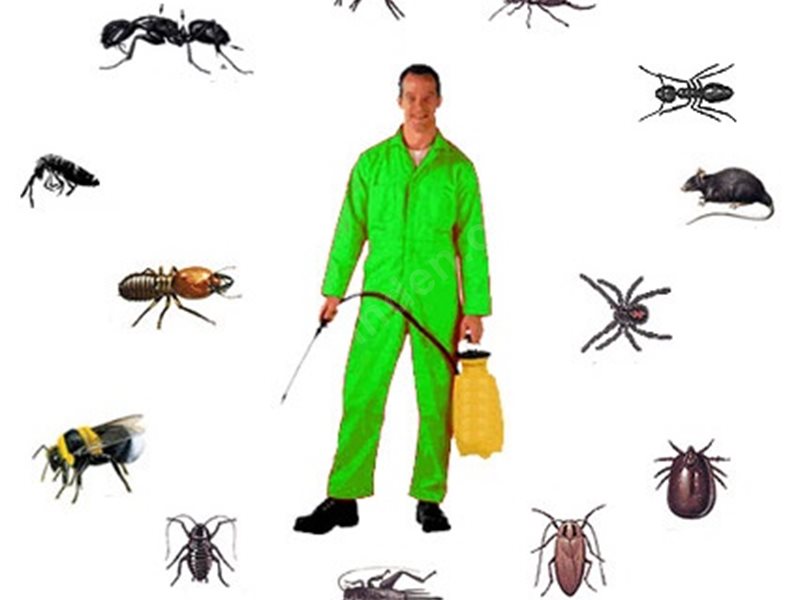 Biga Böcek İlaçlama